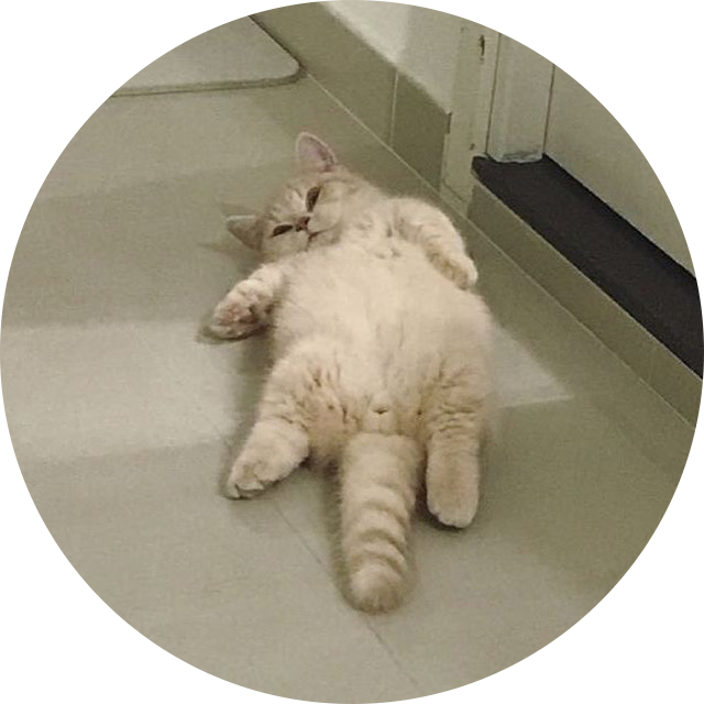 윥두밍 프로필