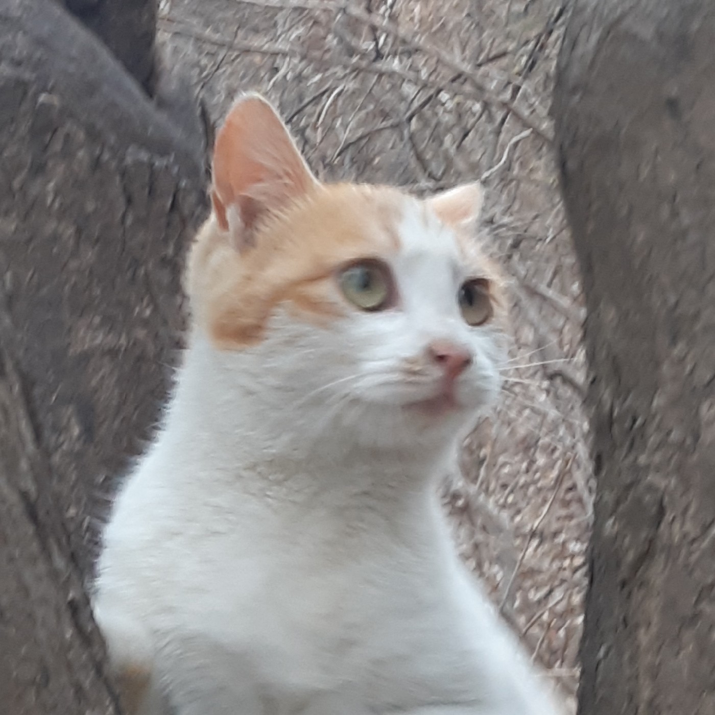 몽크뭉 프로필