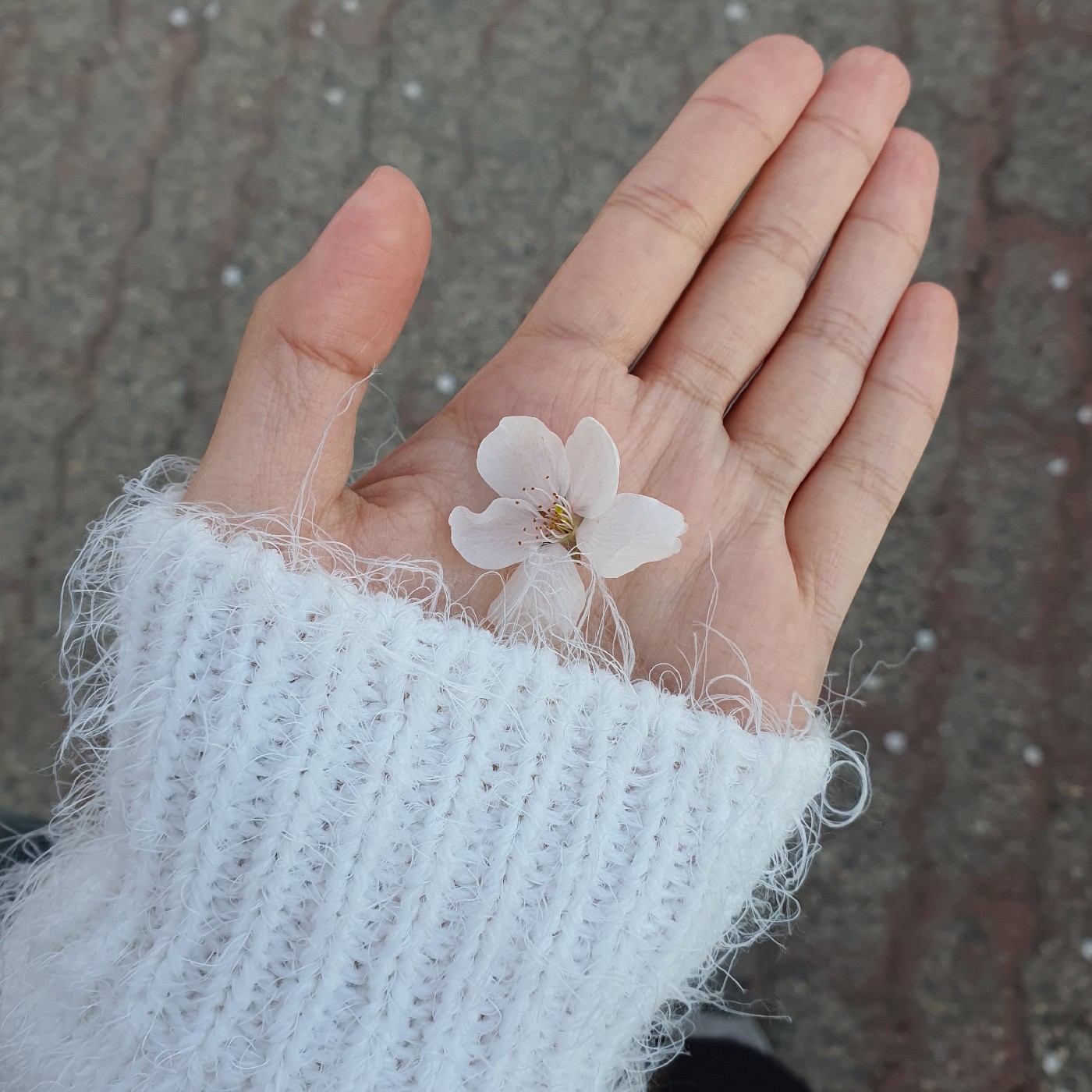 먀멍 프로필