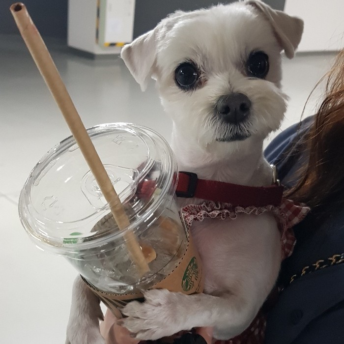 명탐정뭉치 프로필