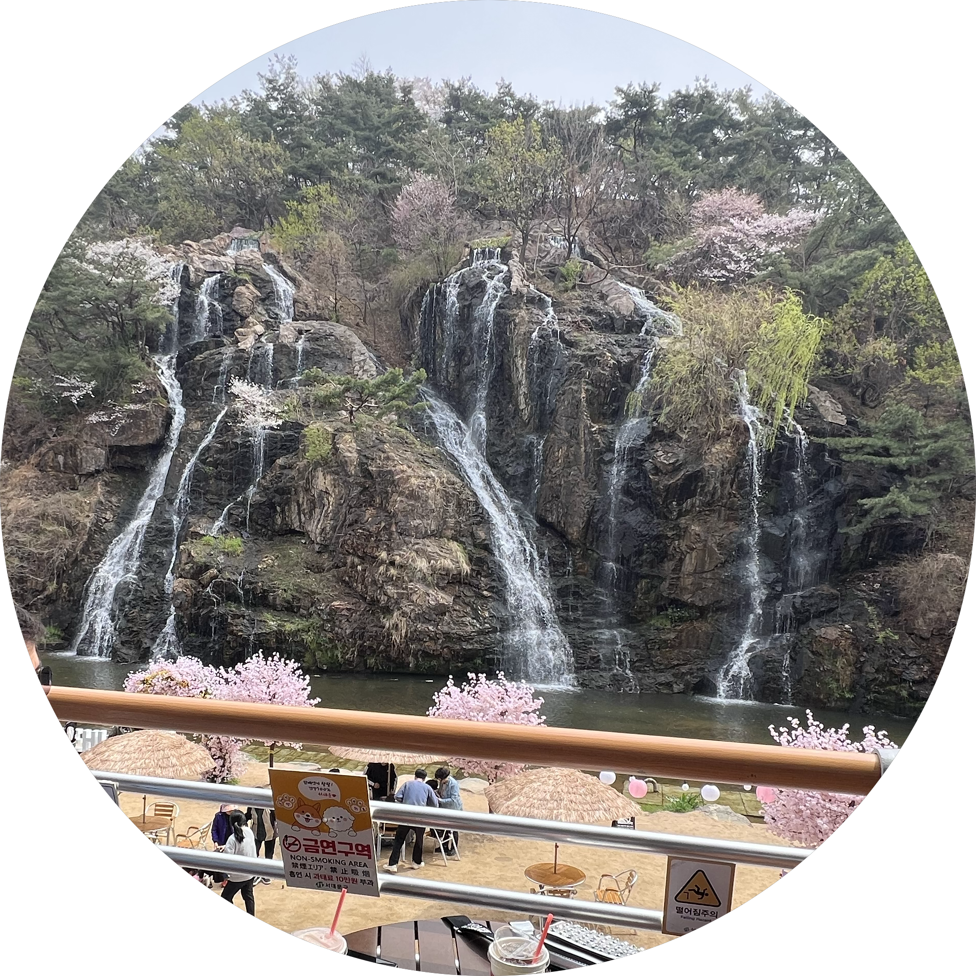 지벸 프로필