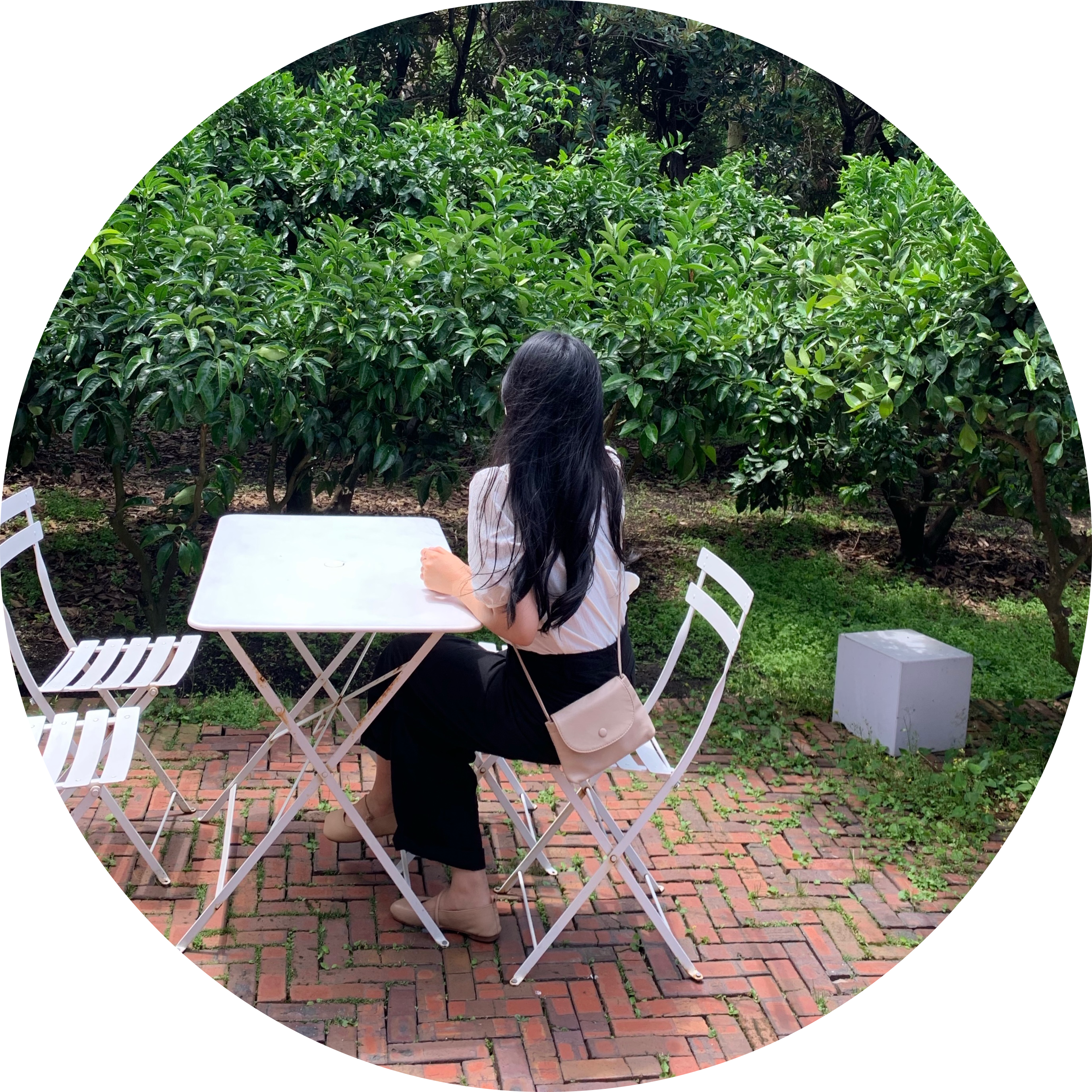 경이잉_ 프로필