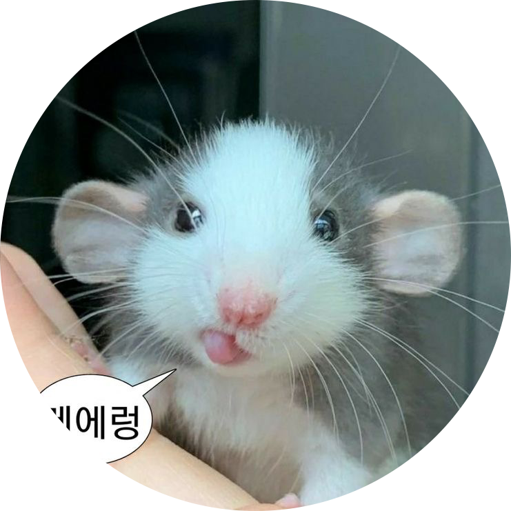 당근주는올라프 프로필