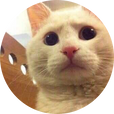 새새미