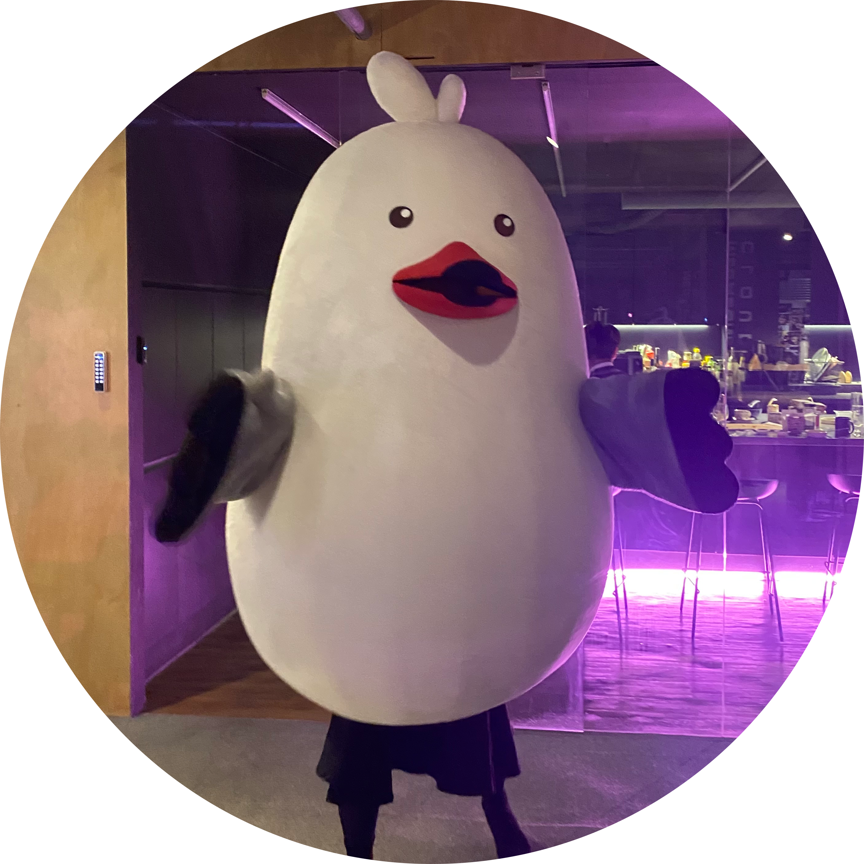 올리오알리오 프로필