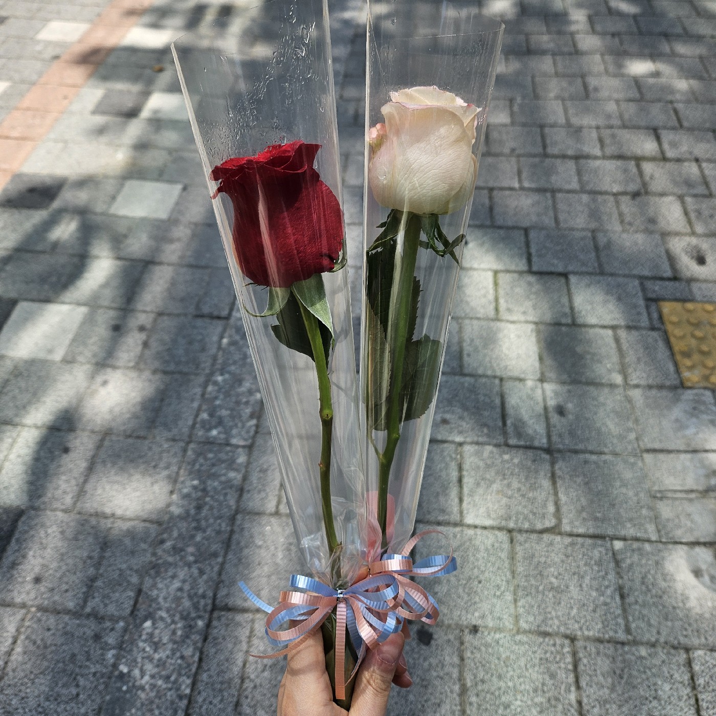 요소뿌뿌 프로필