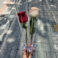 요소뿌뿌