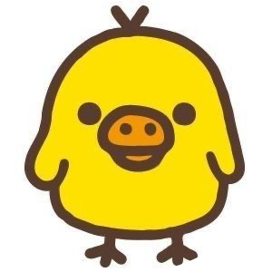 코토네 프로필