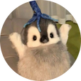 릴리예