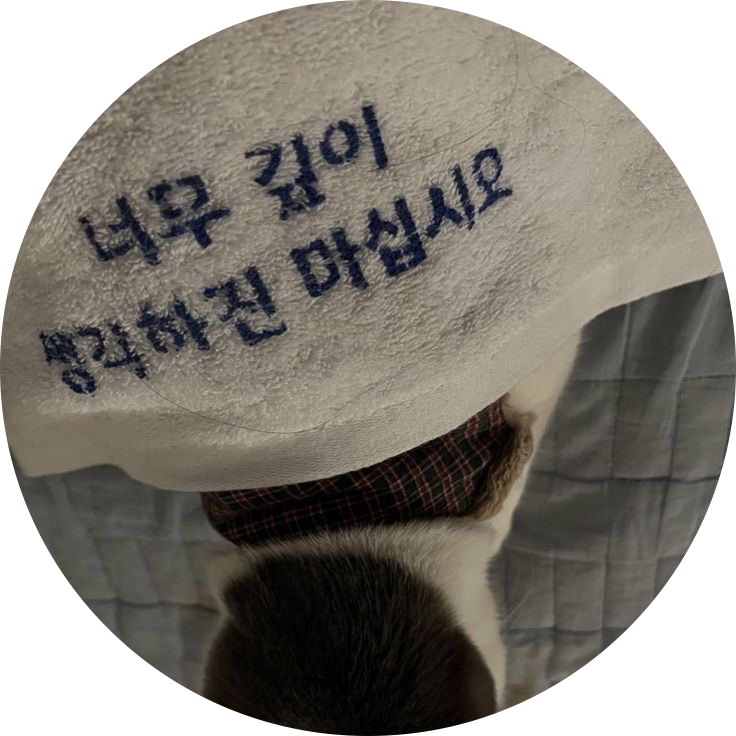 스트로베리필드 프로필
