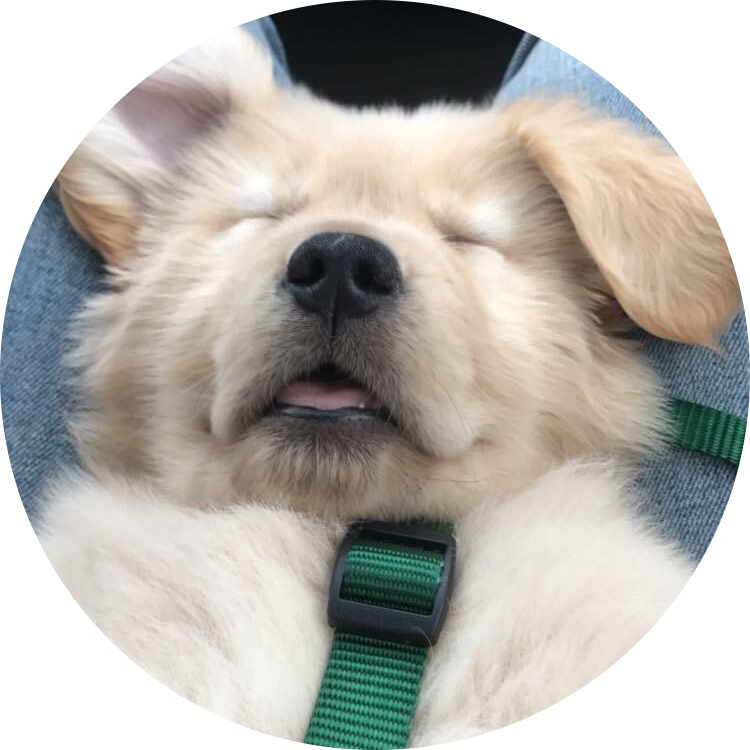 오늘은망구 프로필