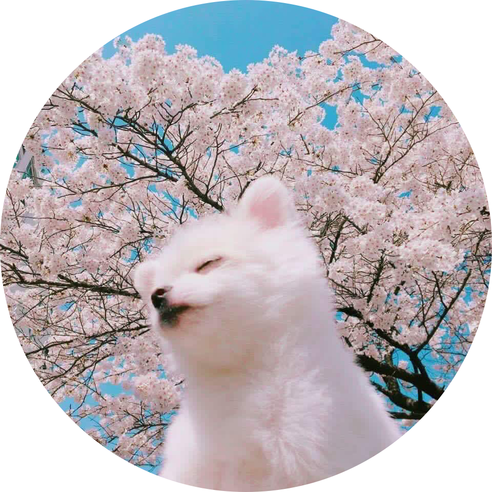 리뷰어 프로필