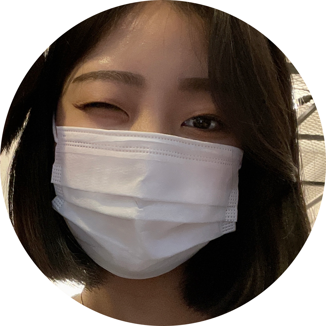 봄멍댕 프로필