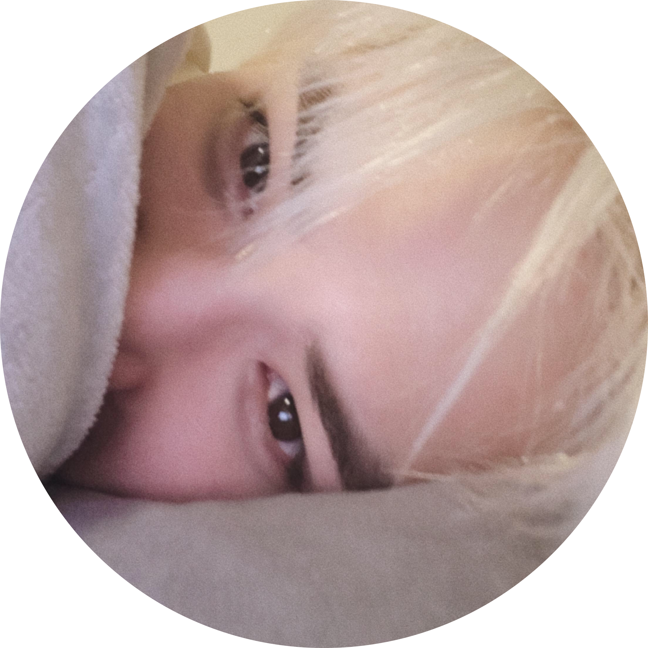 김영훈마누라 프로필