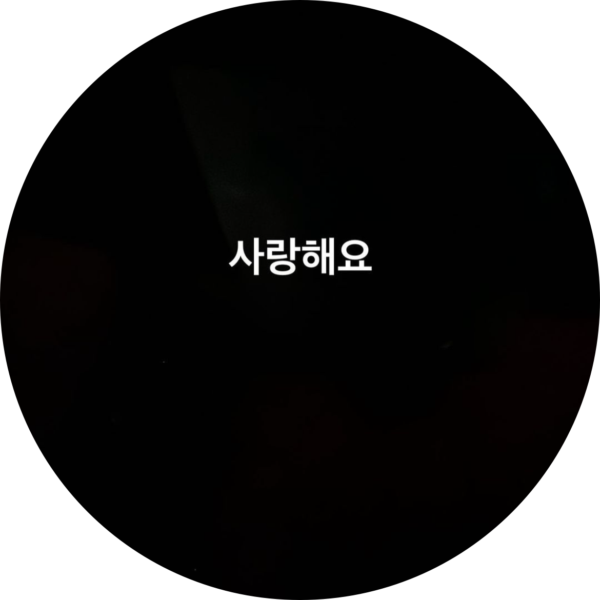 웤콜홀릭 프로필