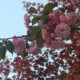 글로리#fBAfeZ