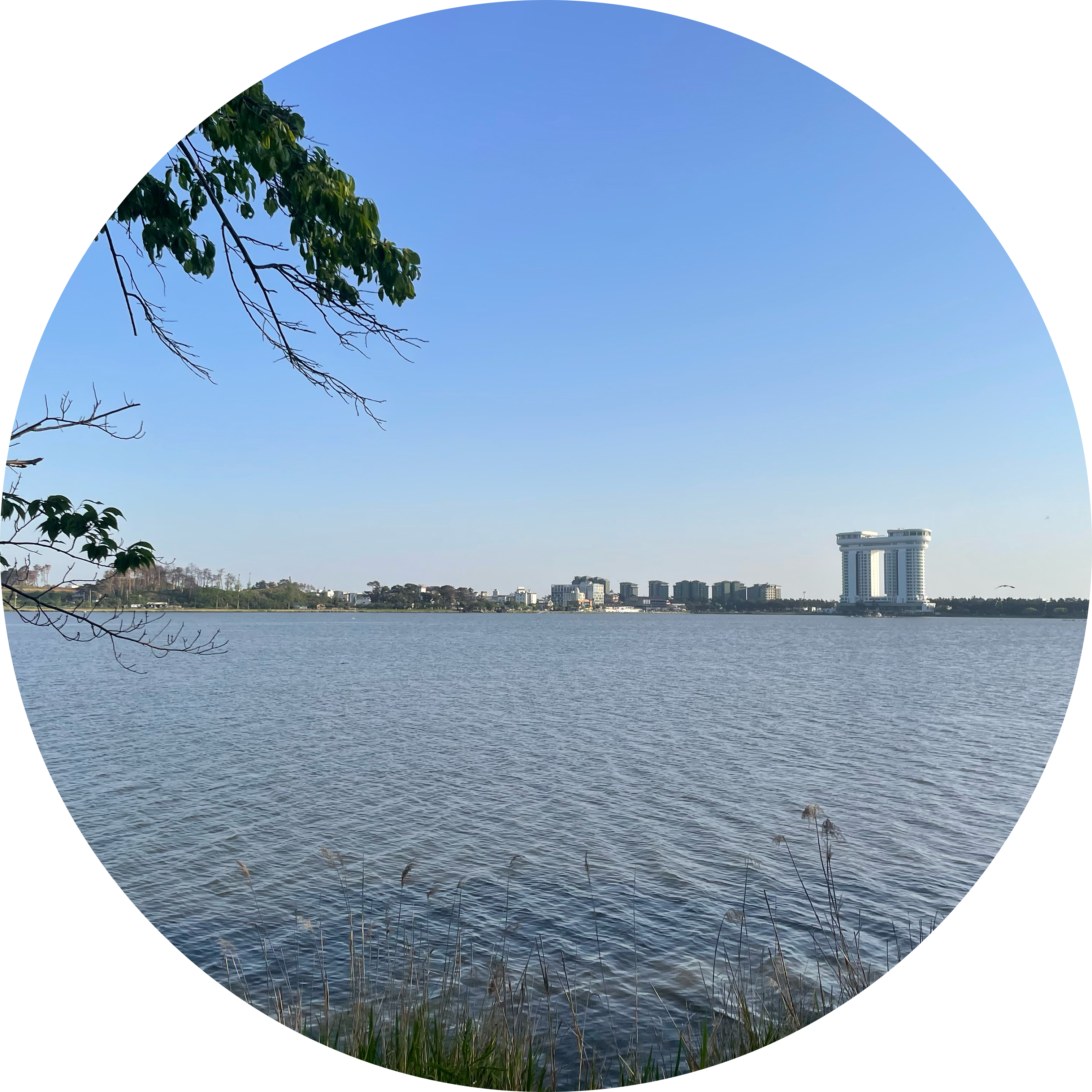 블랙써니 프로필