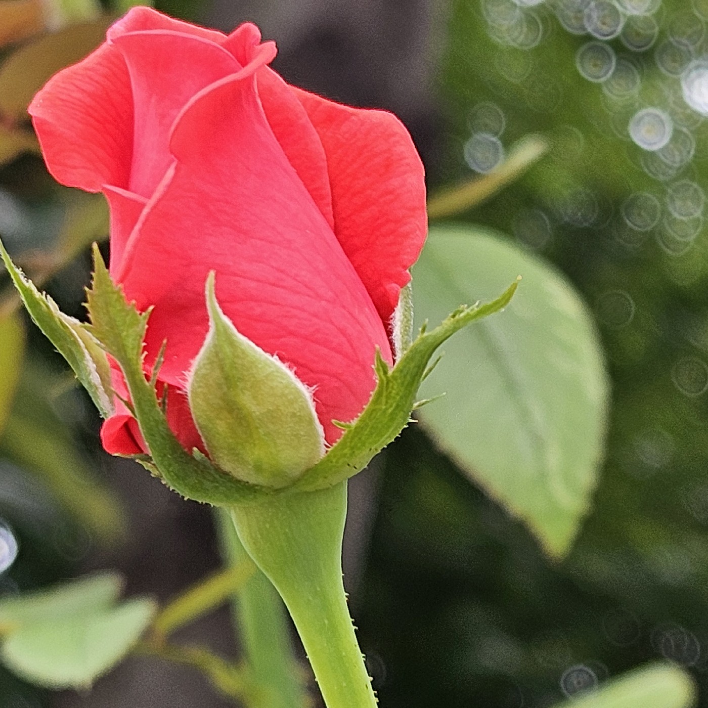 리뷰어 프로필