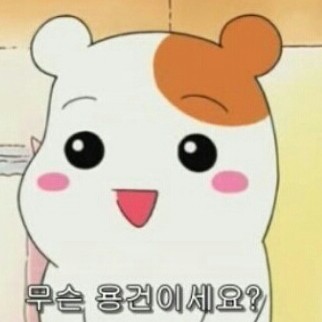 IMROOKIE 프로필