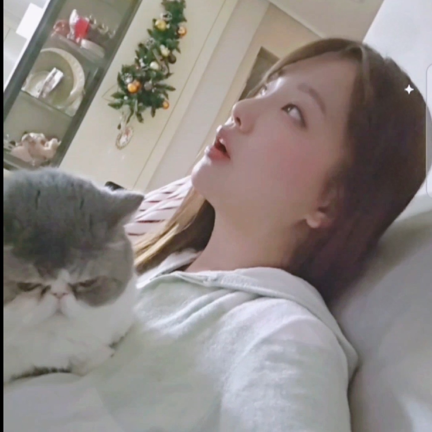 엘카몬00 프로필