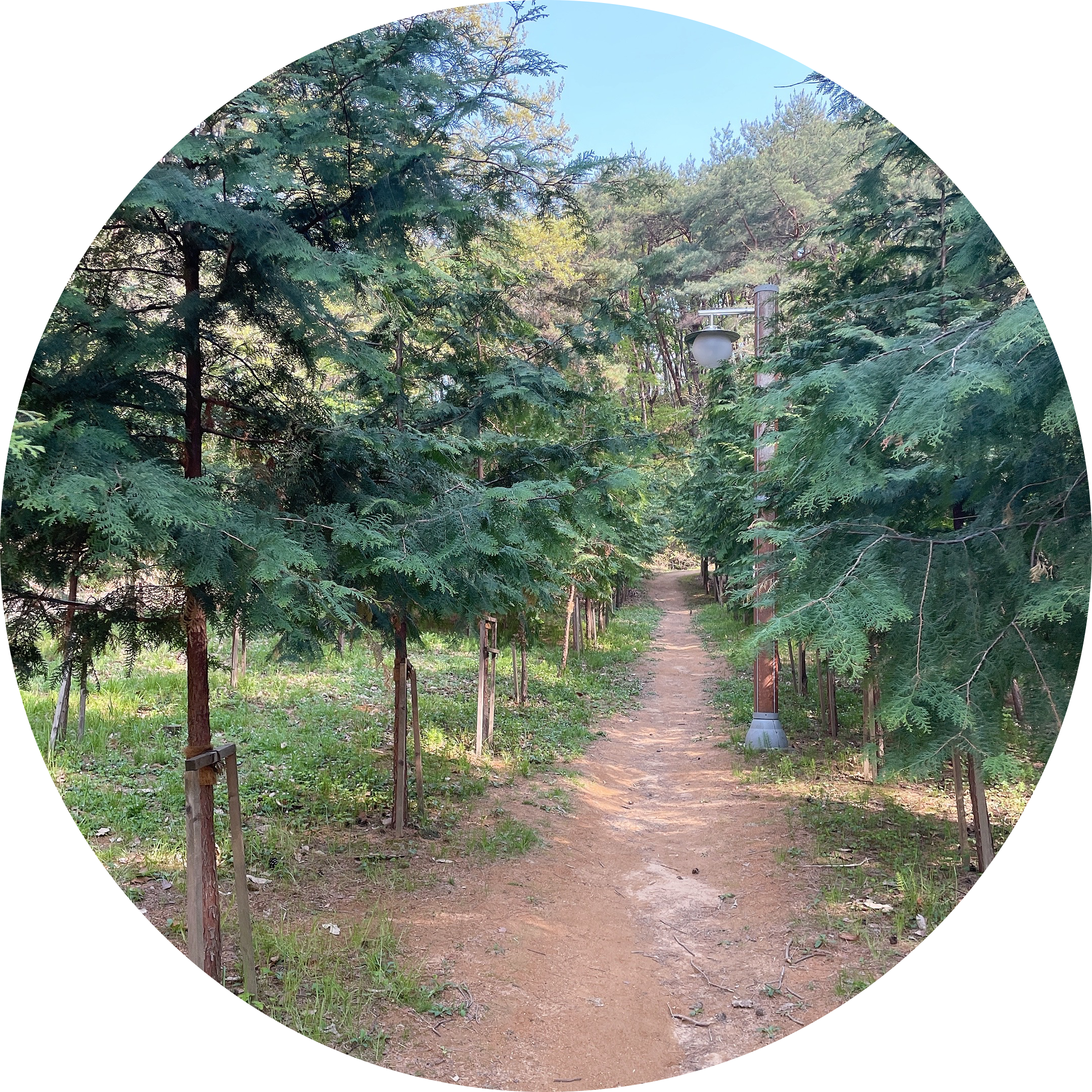 도도슝 프로필