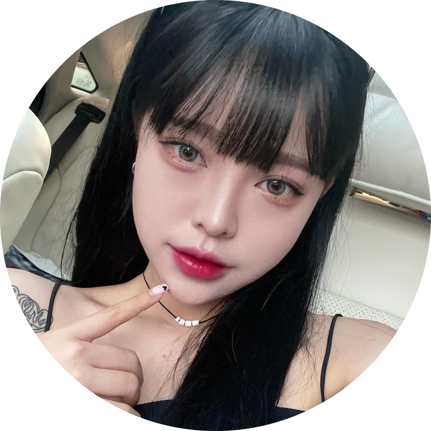 scxrlet 프로필