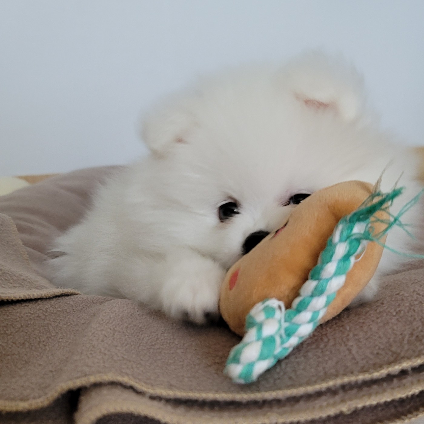 쑥찐빵 프로필
