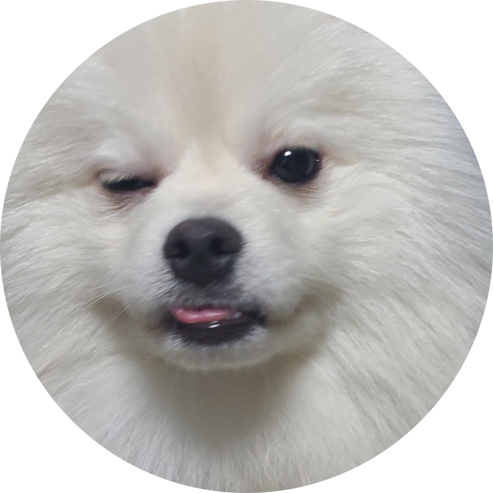 신삥이 프로필