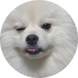 신삥이