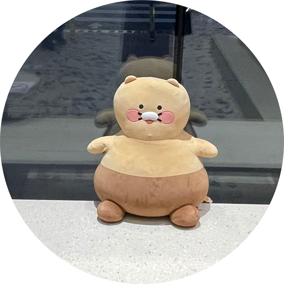 동구루루루 프로필