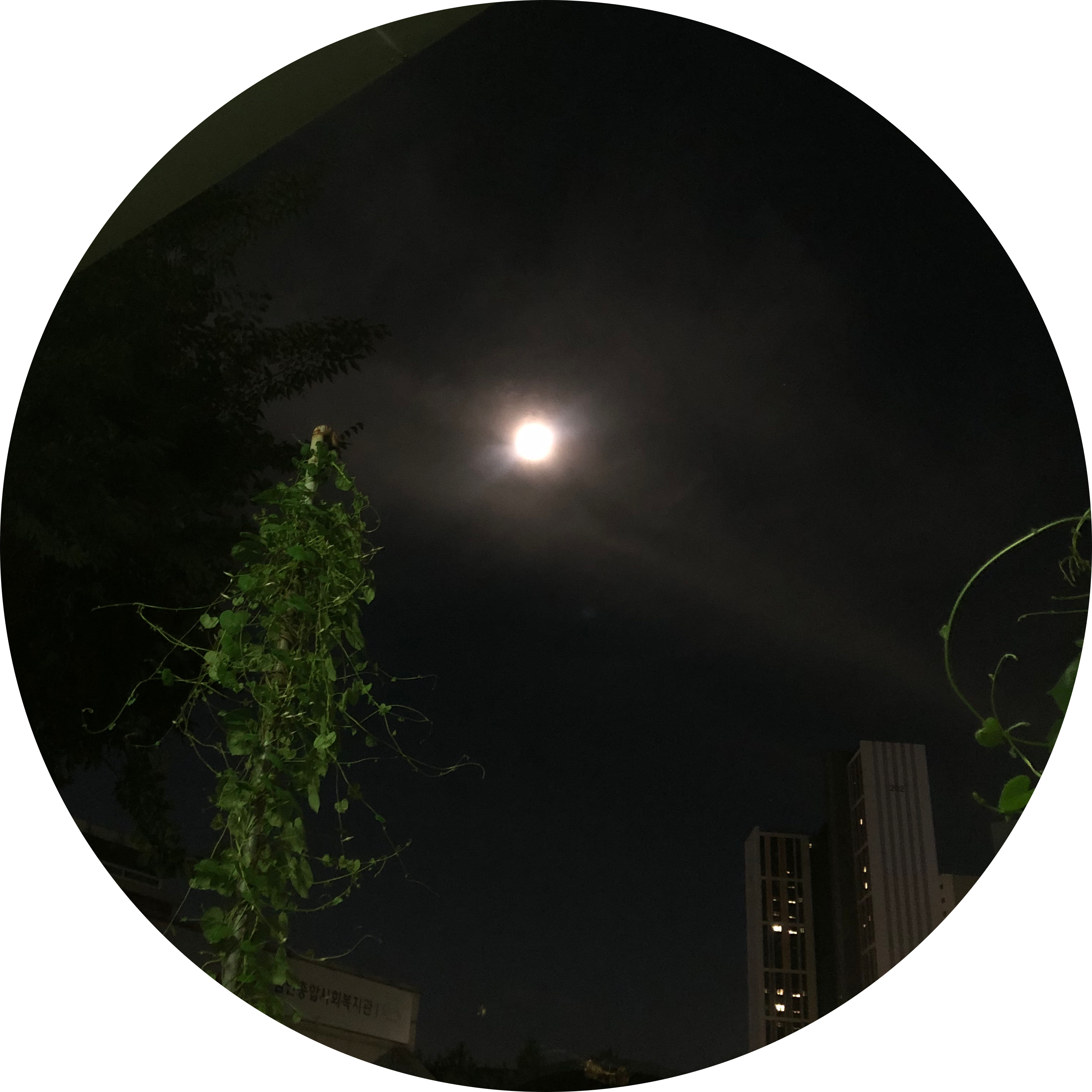 민모찡 프로필