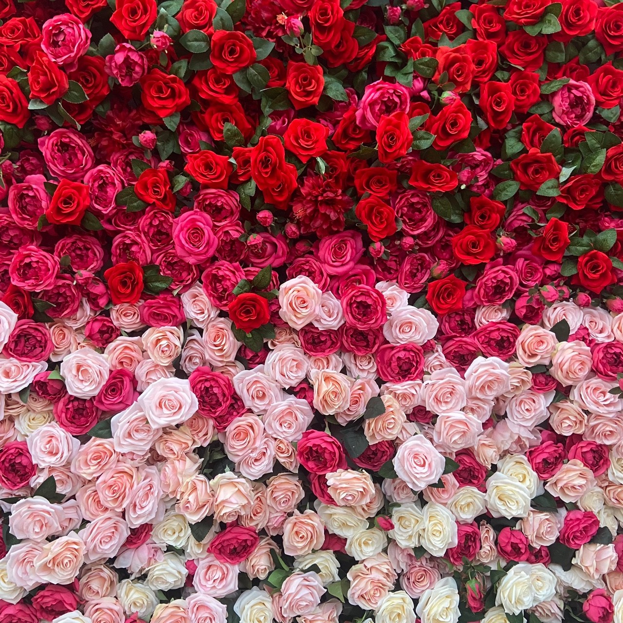 리뷰어 프로필