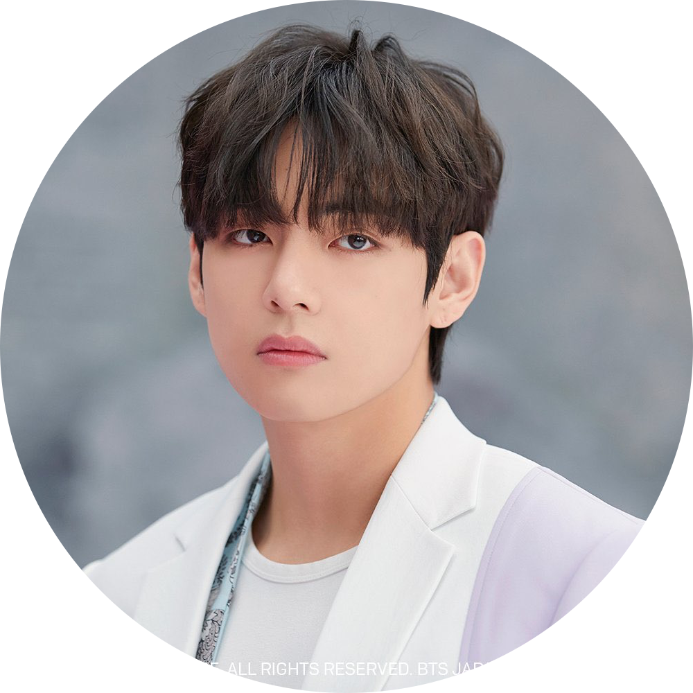 BTSVV 프로필