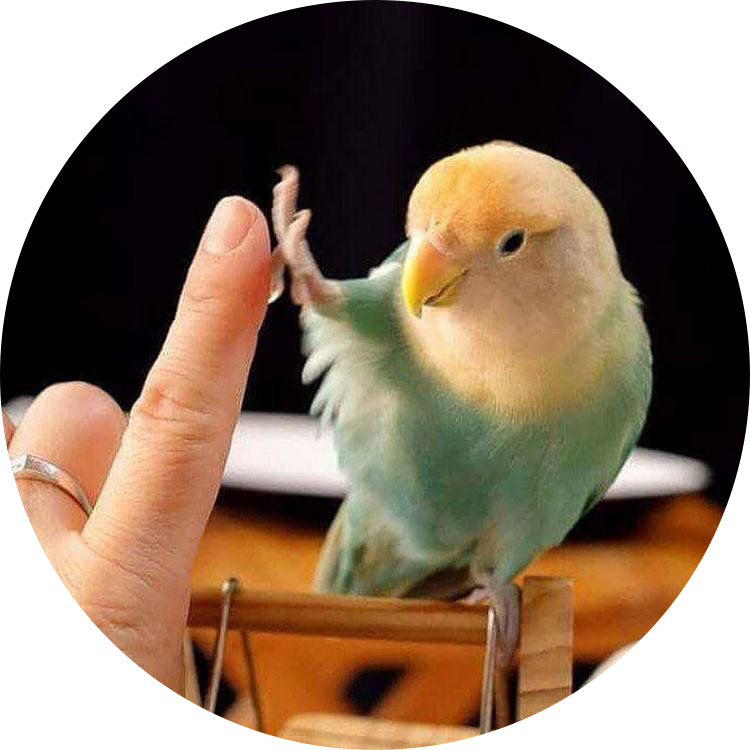 이문생 프로필