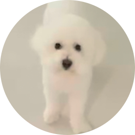 Uneeverse 프로필