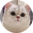 츄츄s2