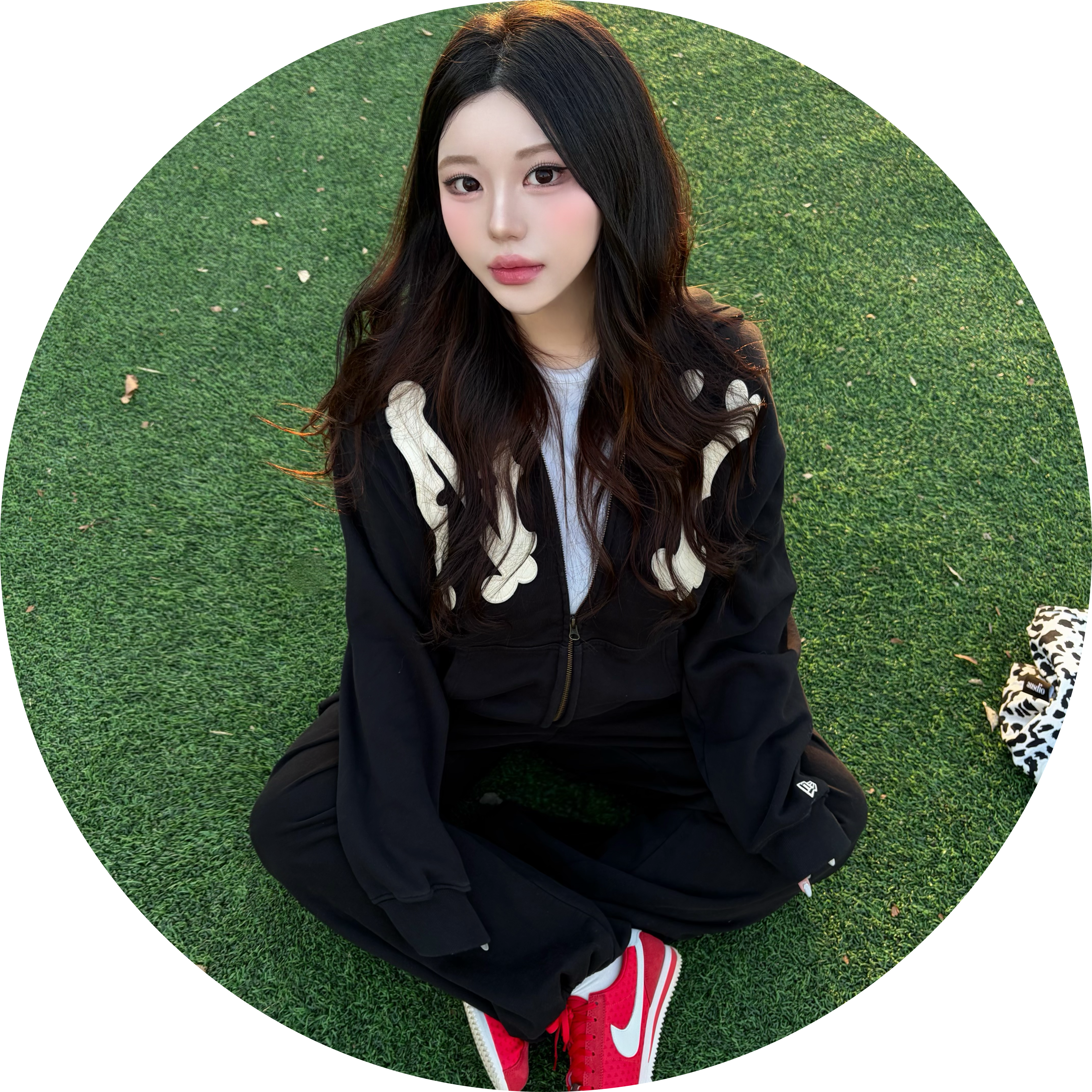 서아핑 프로필