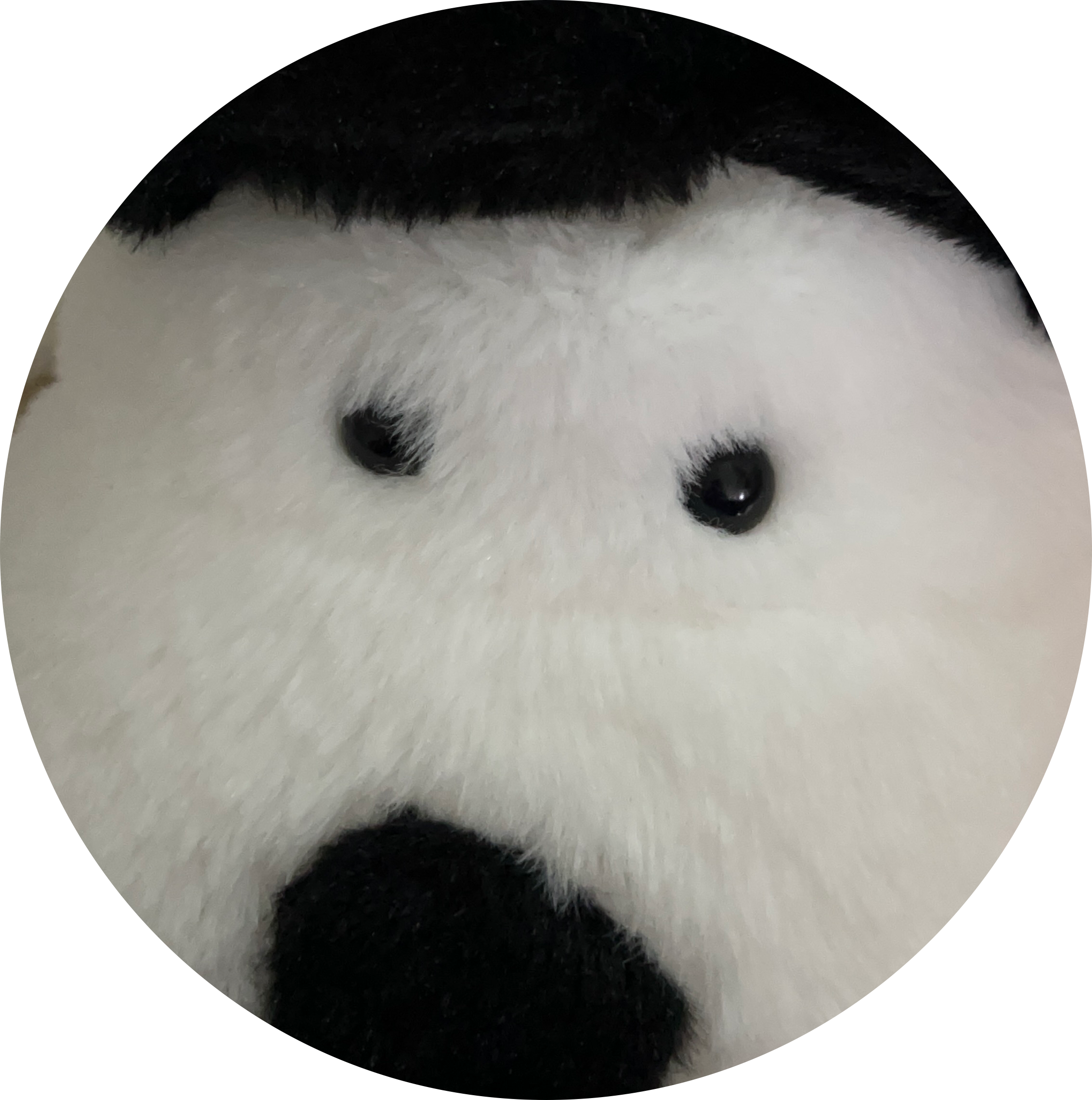 안녕하세요안녕 프로필