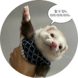 지마츄
