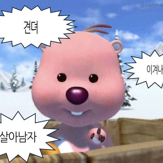 Sandy 프로필
