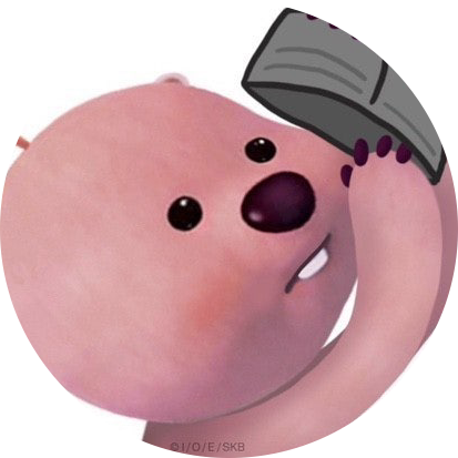 텅장루피 프로필