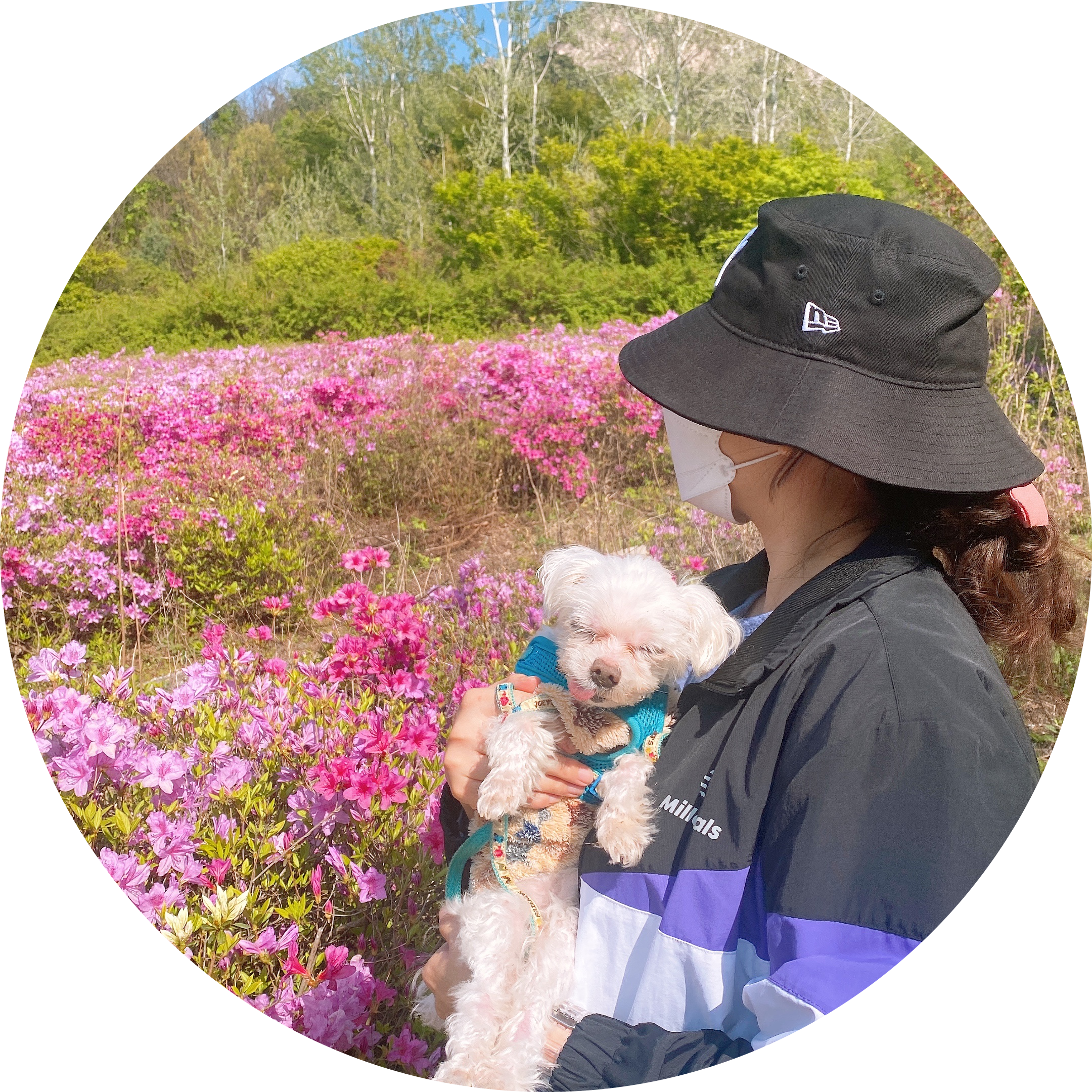 피이뚜 프로필