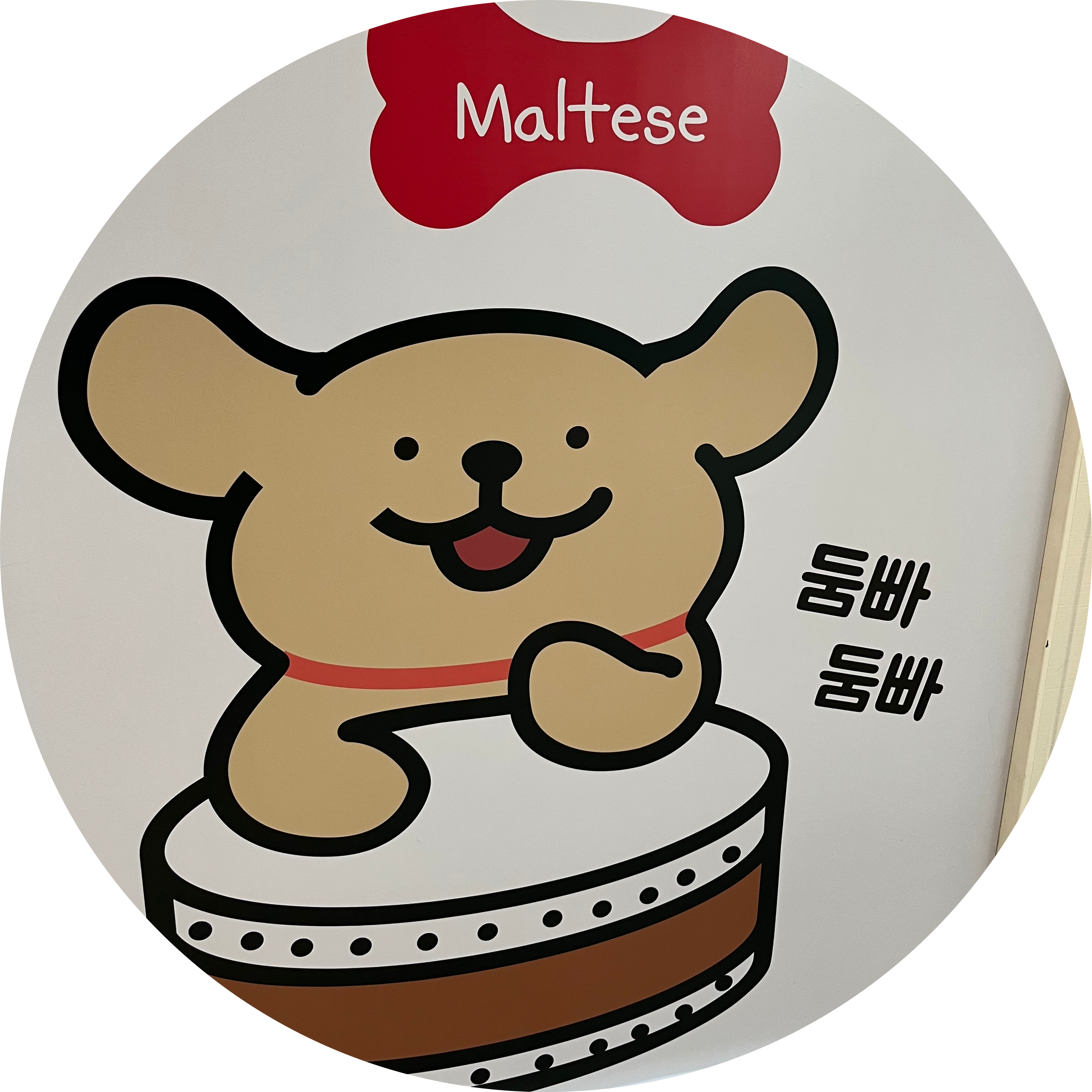 뚱이01 프로필