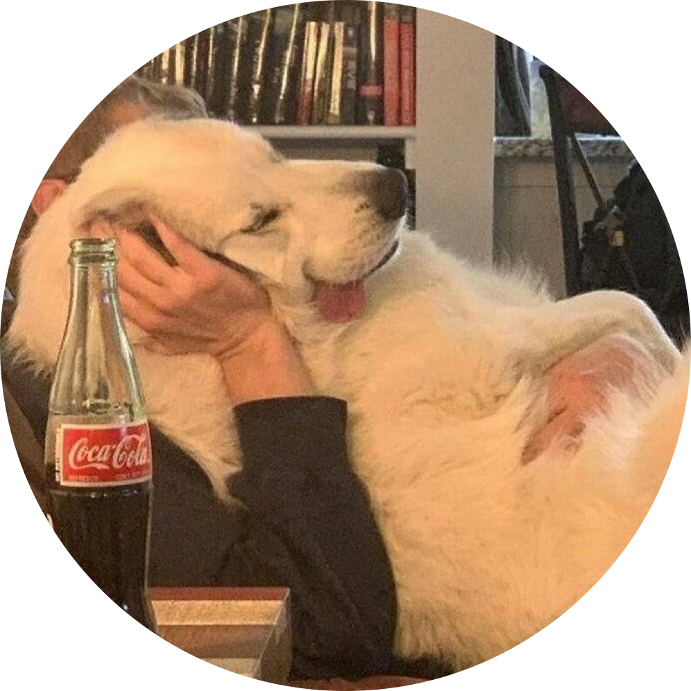 빠잉 프로필