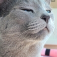 브쪼니