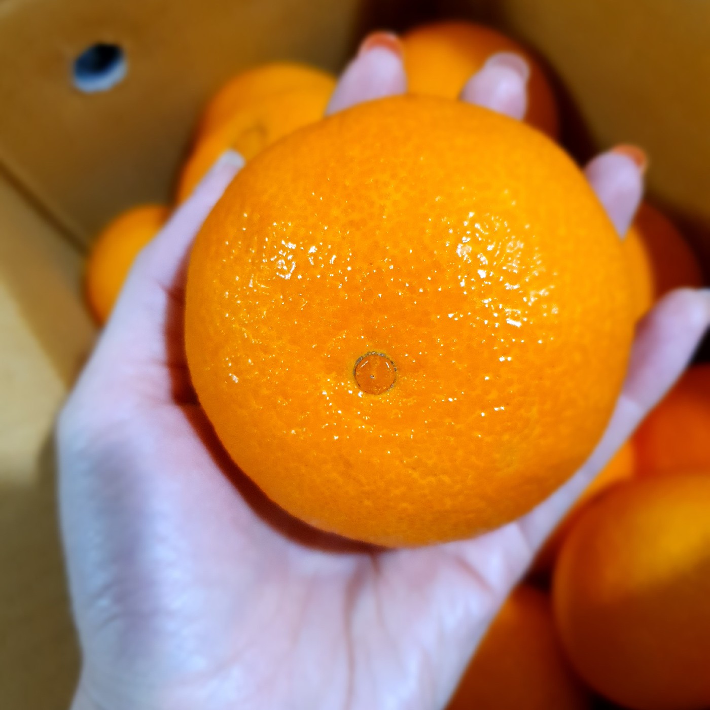 리뷰어 프로필