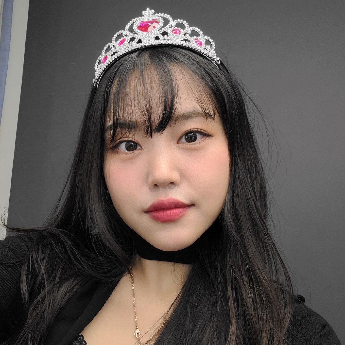 직장인조제 프로필
