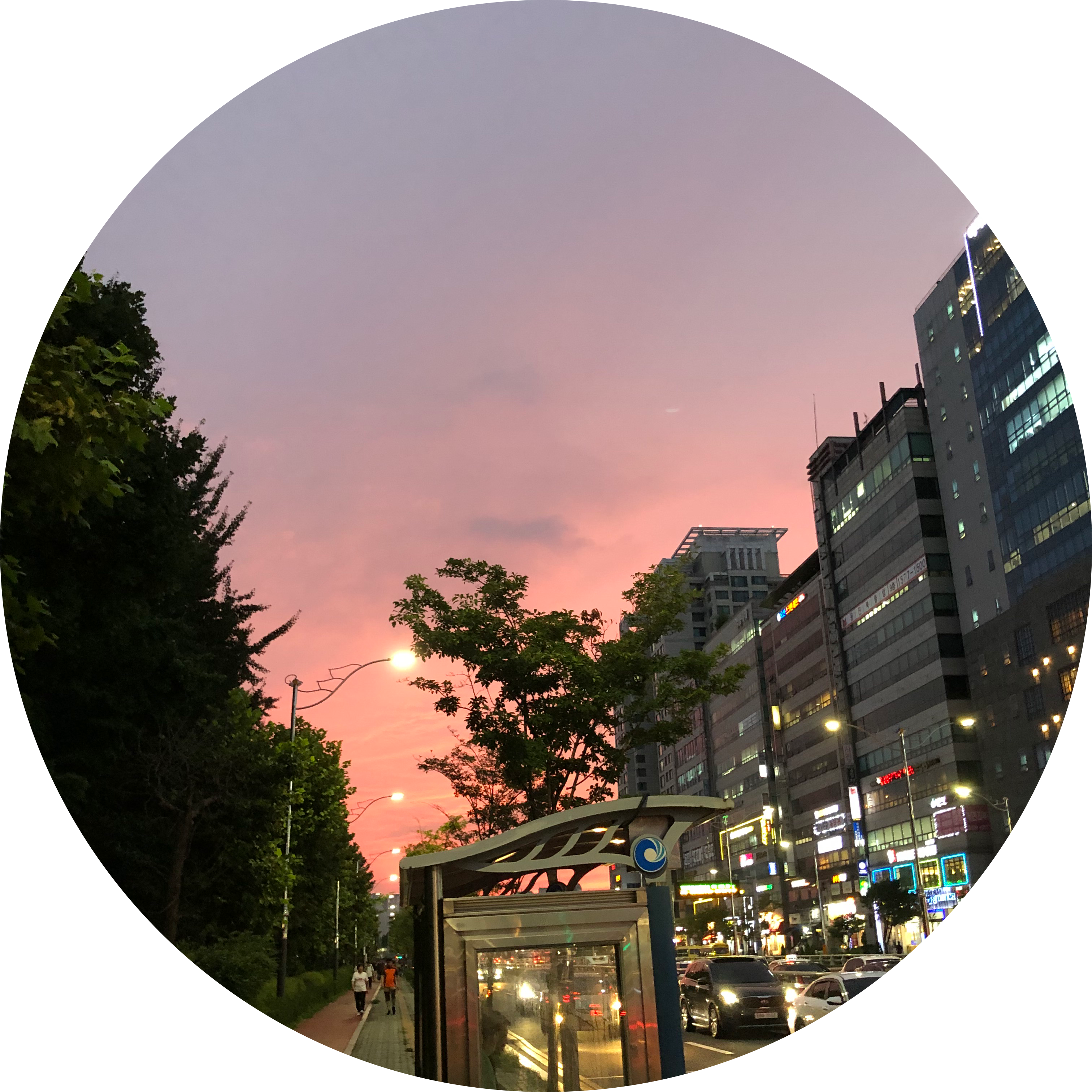 볘랴 프로필