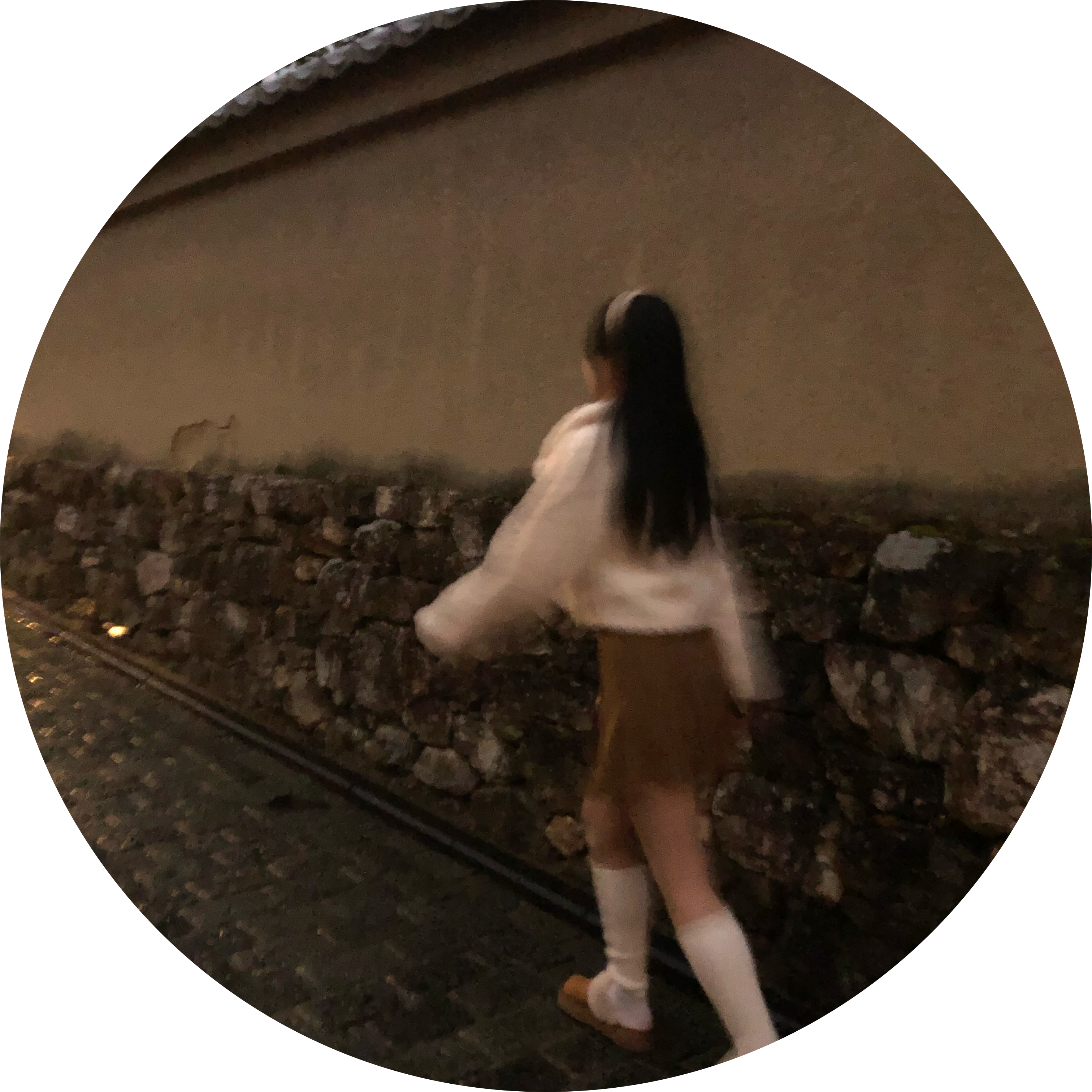 Ocho 프로필