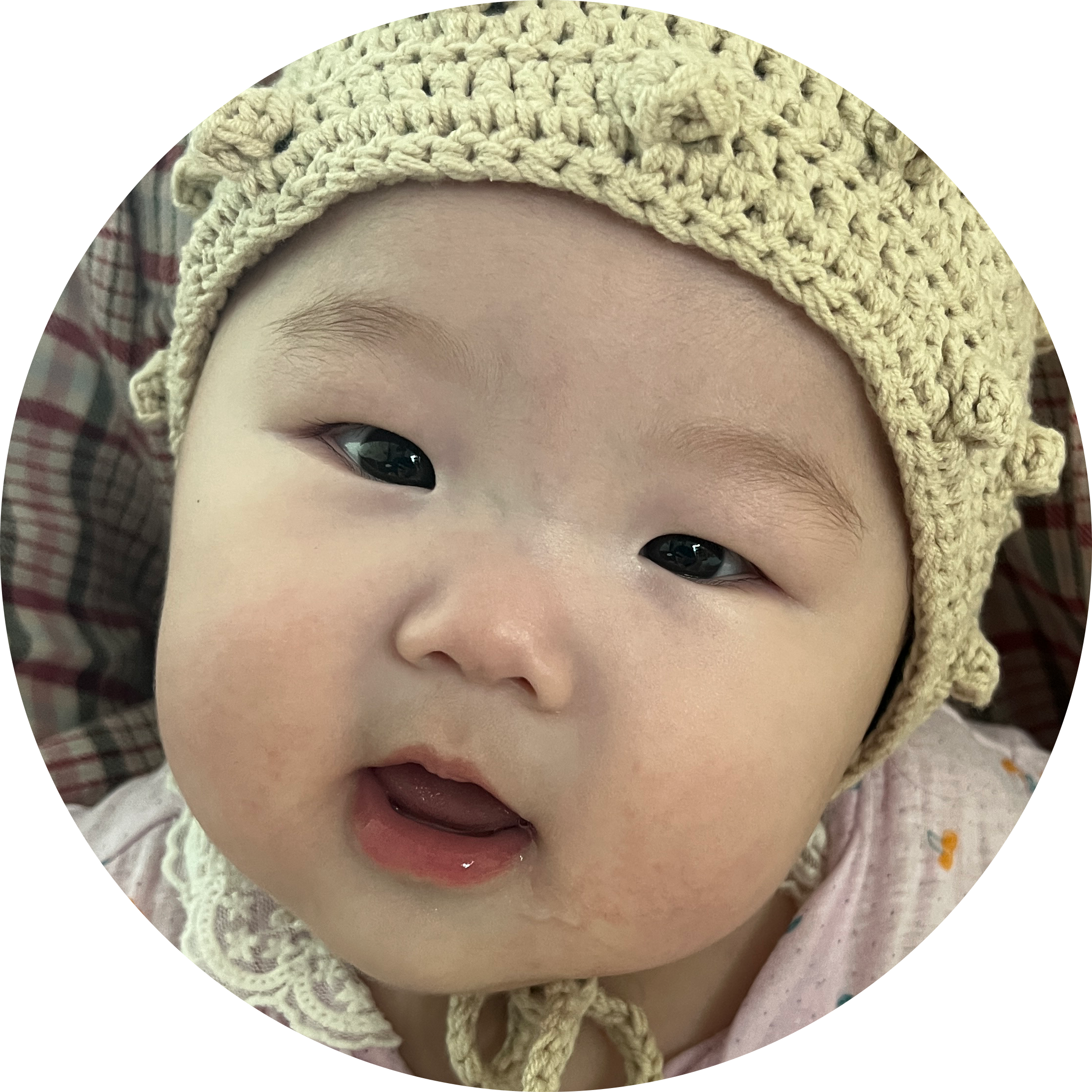 채채드래곤 프로필